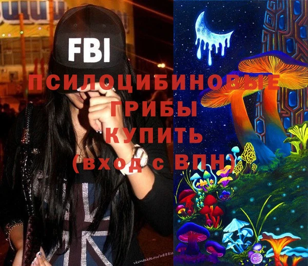 сатива Снежинск